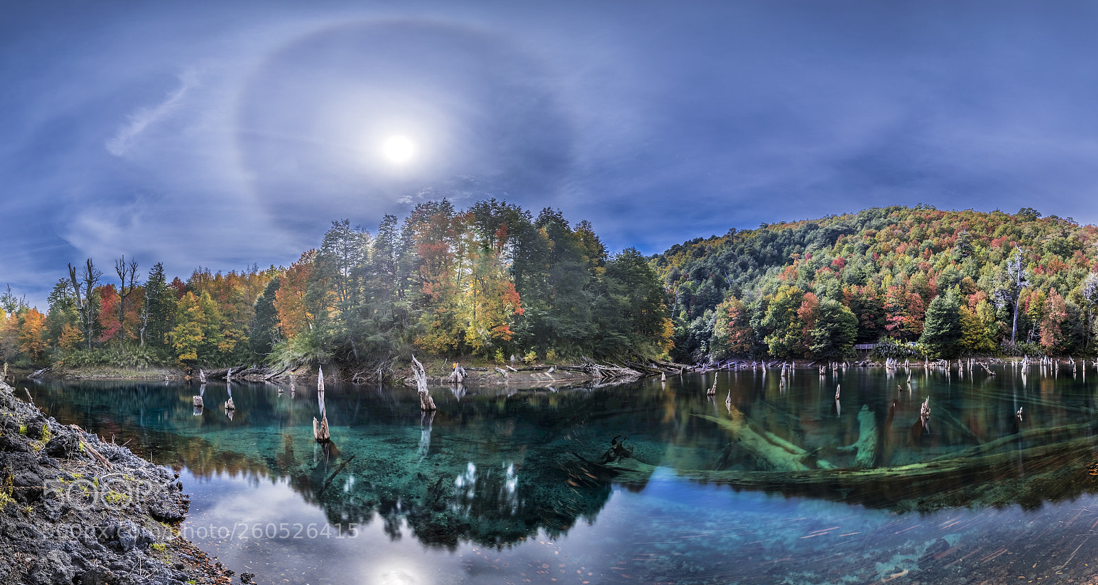Canon EOS 5D Mark IV sample photo. Conguillio autumn colors photography