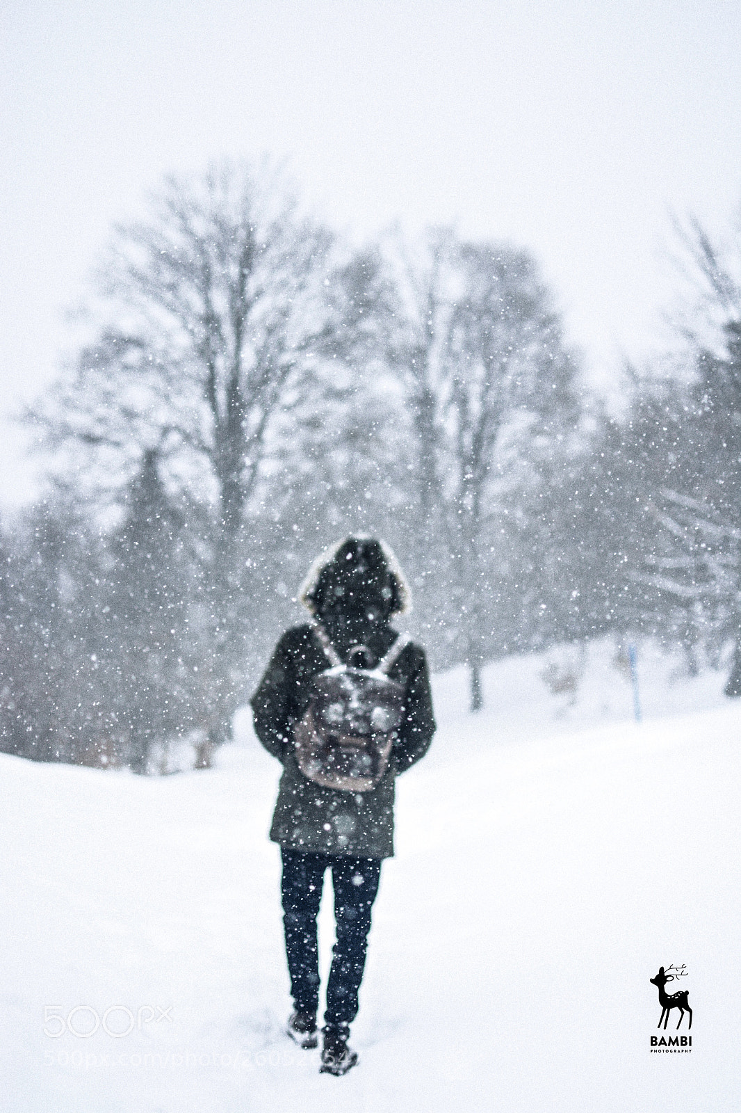 Nikon D7100 sample photo. Baby, it s cold photography