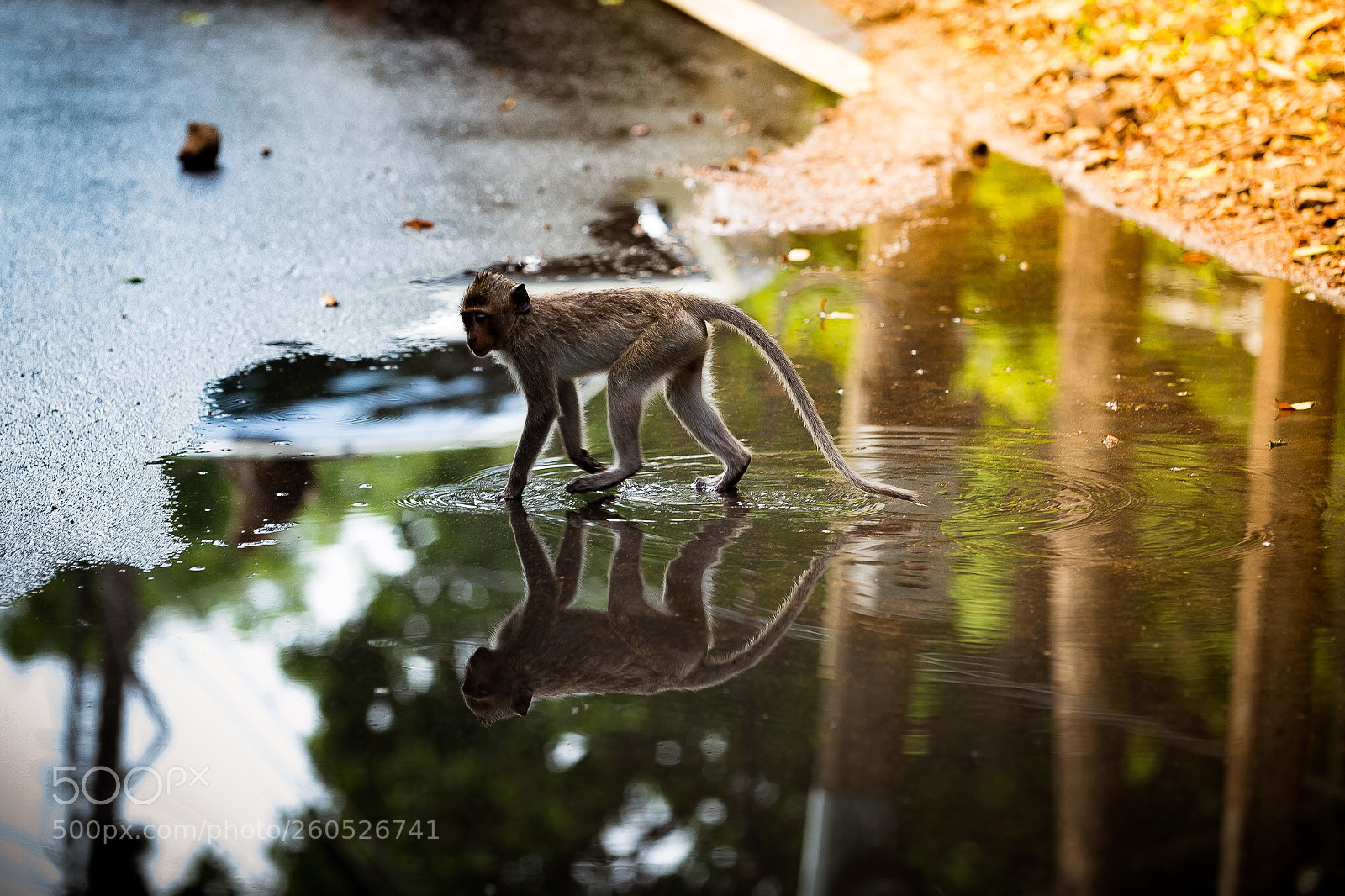 Canon EOS 6D sample photo. Water reflection photography