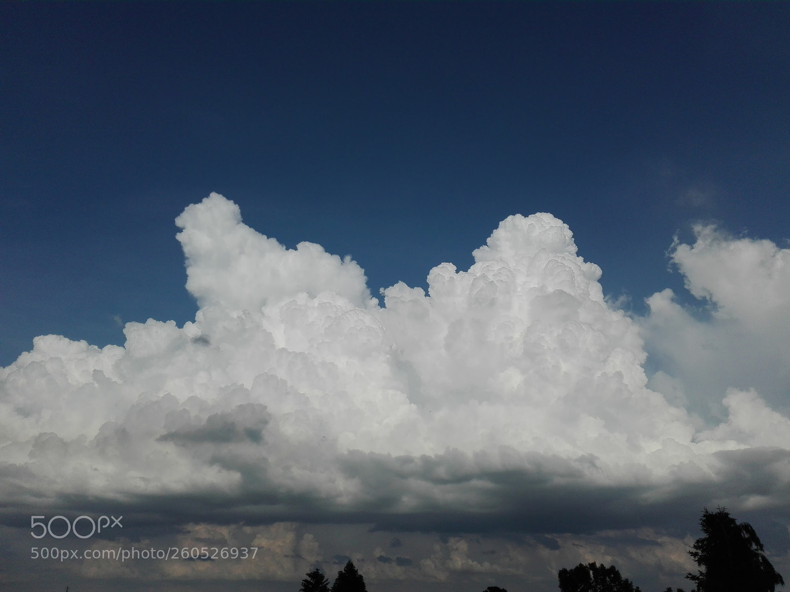 HUAWEI P8 Lite sample photo. Untitled photography