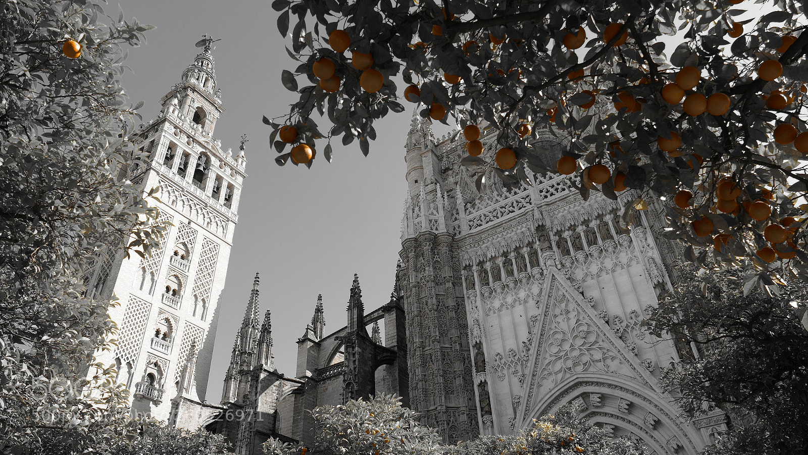 Panasonic Lumix DMC-FZ1000 sample photo. Cathedral of sevilla in photography