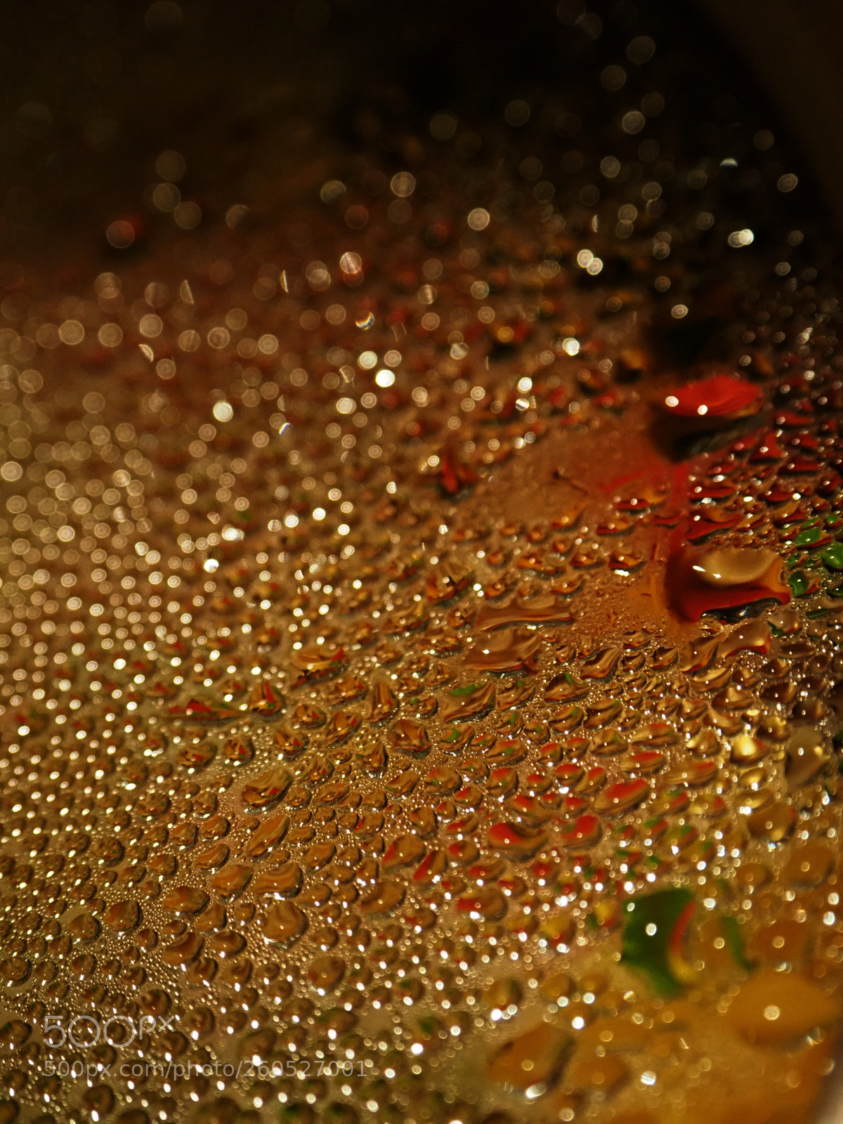 Olympus OM-D E-M1 Mark II sample photo. Condensation photography
