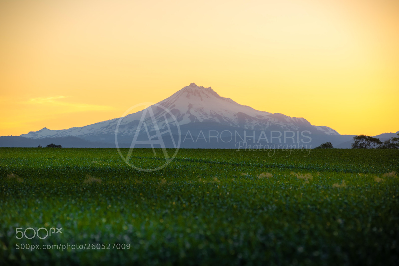 Nikon D750 sample photo. Mt jefferson photography