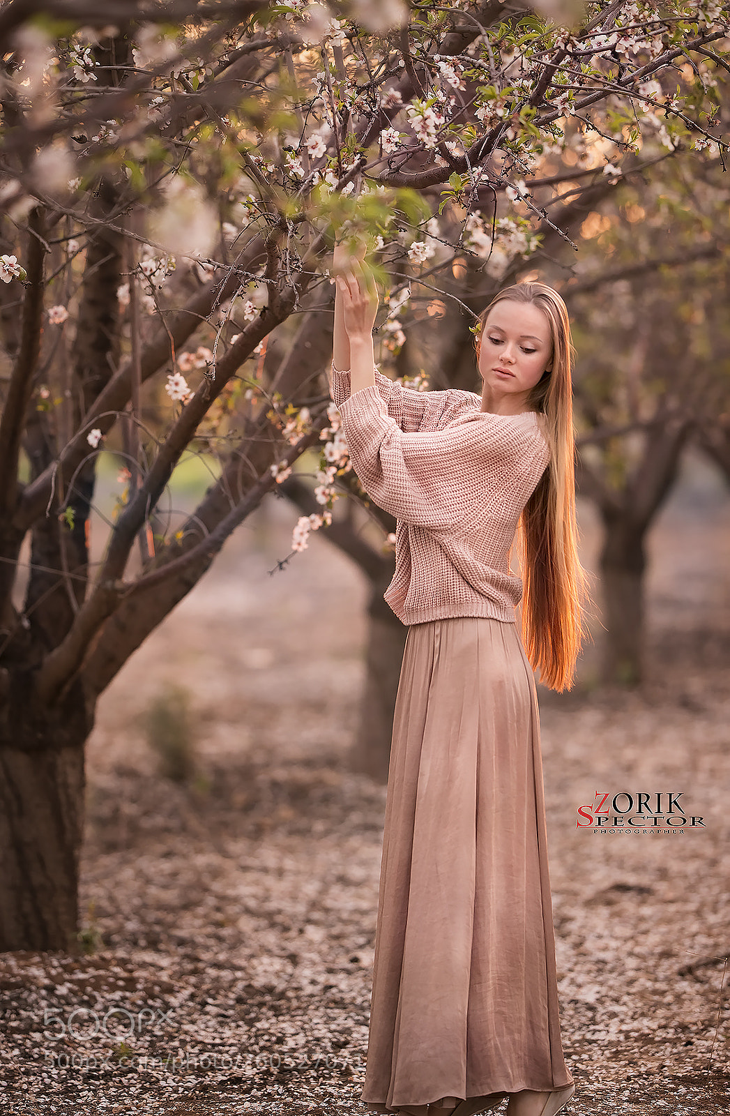 Nikon D800E sample photo. Small photography
