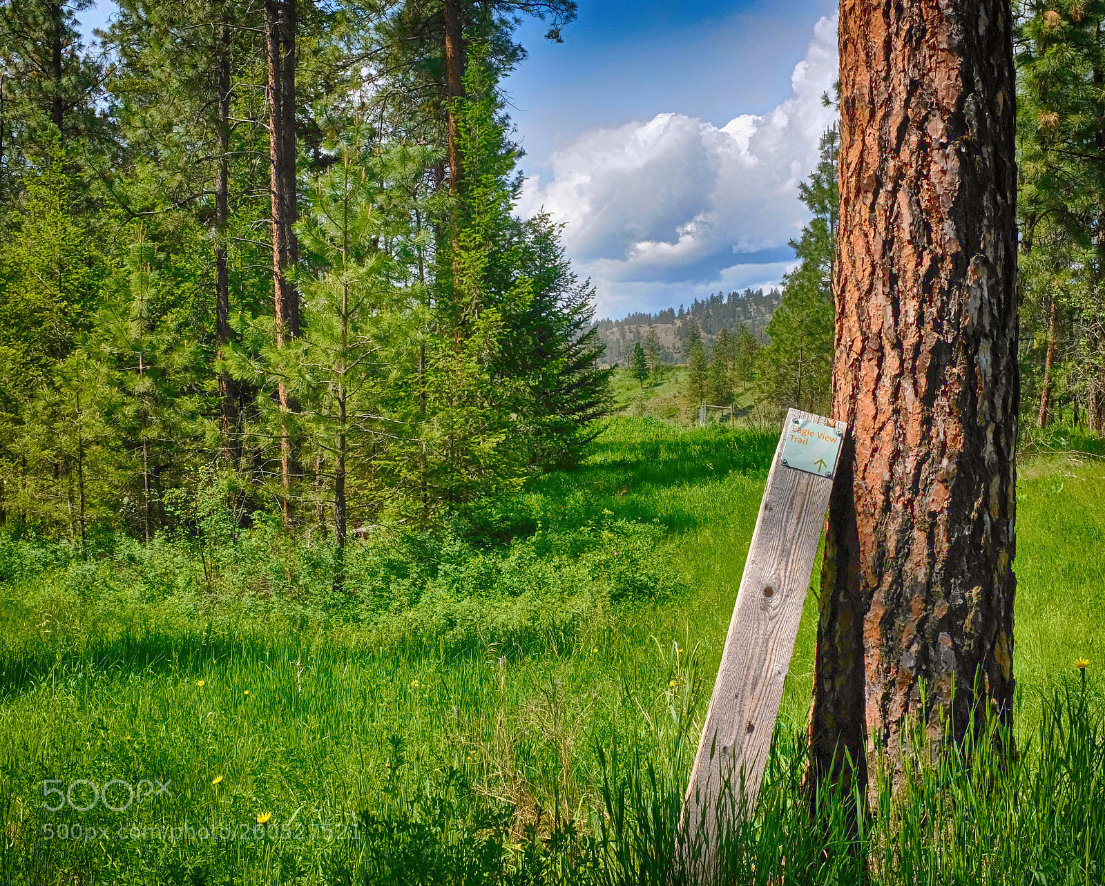 Fujifilm X100F sample photo. Eagleviewtrail photography