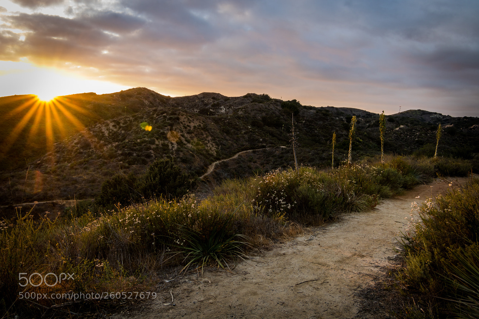 Canon EOS 750D (EOS Rebel T6i / EOS Kiss X8i) sample photo. Sunset path photography