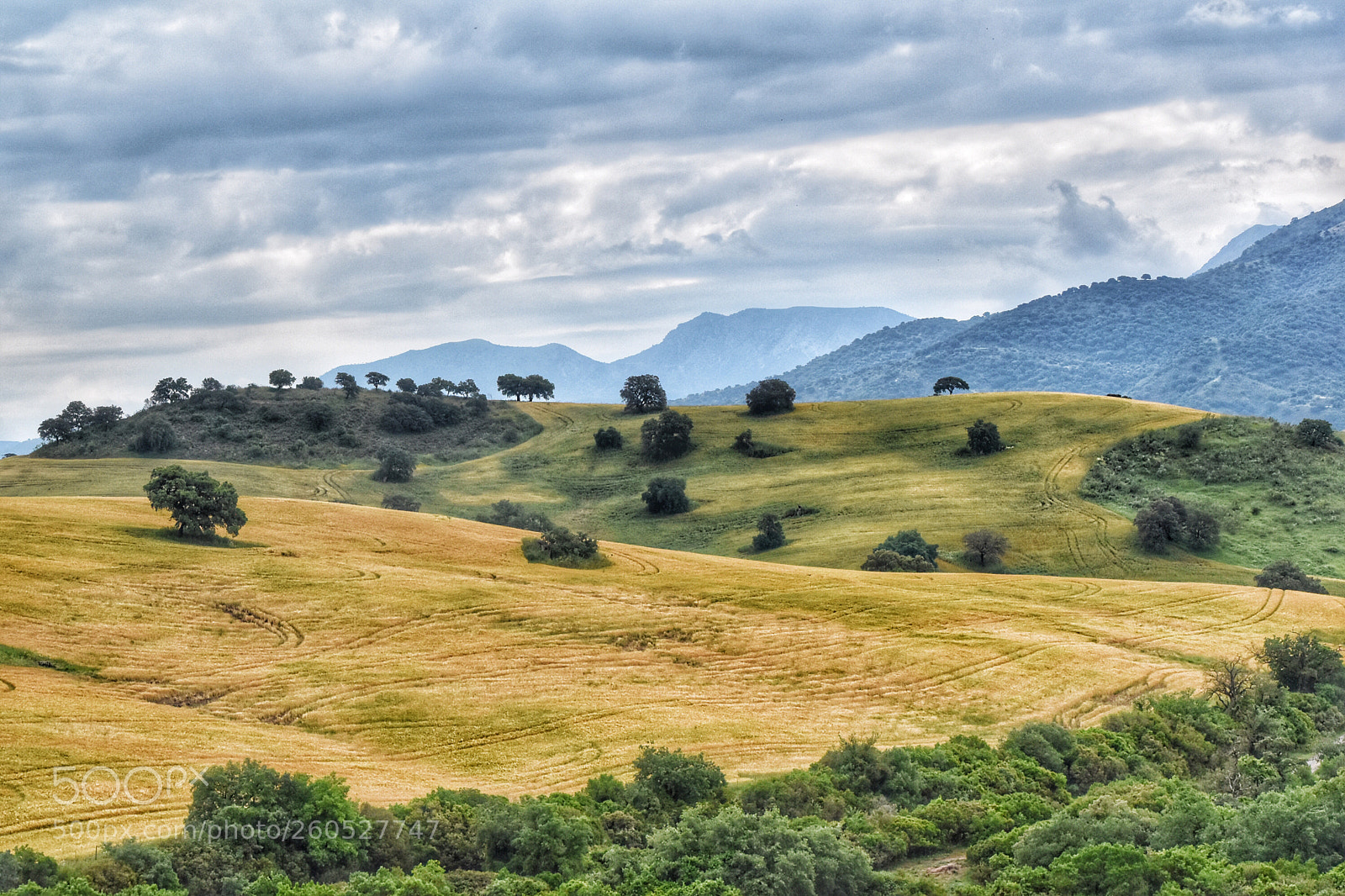 Nikon D5500 sample photo. Hills and dales photography