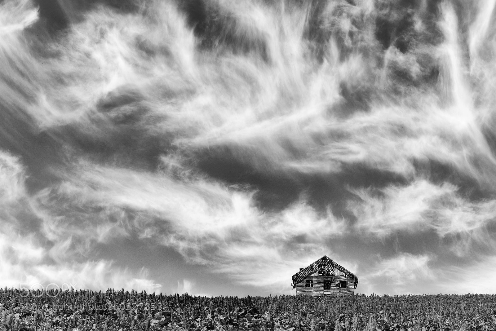 Nikon D800 sample photo. Mm photography