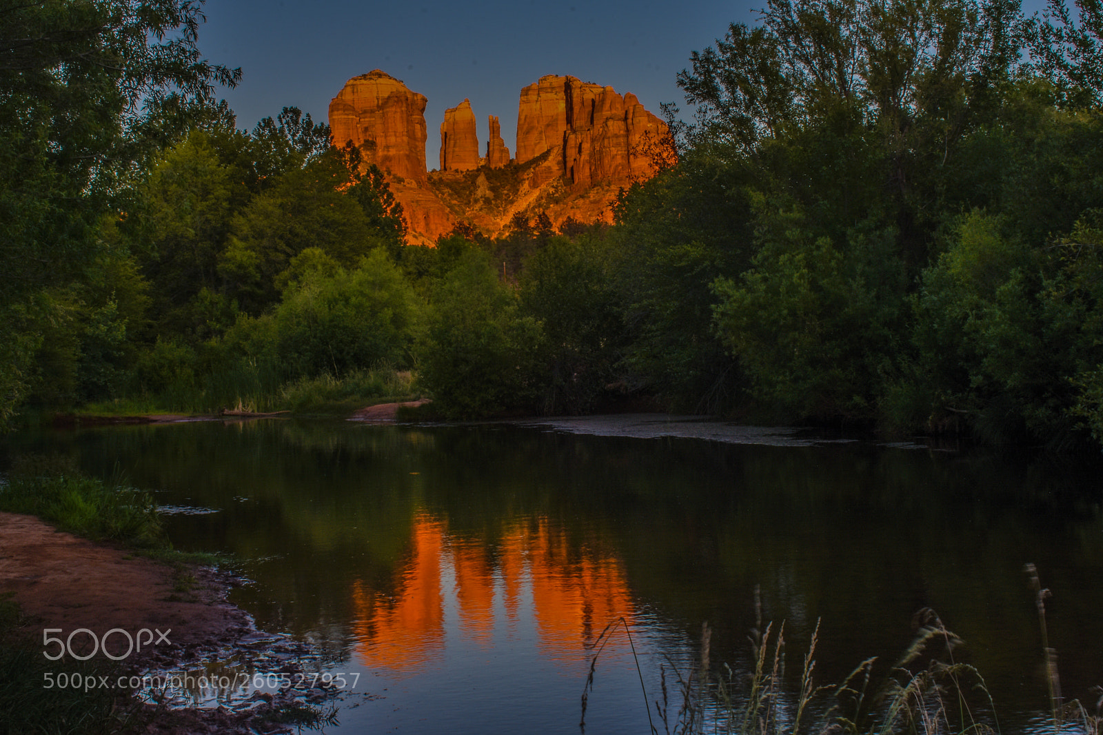Nikon D7200 sample photo. Oak creek reflections photography