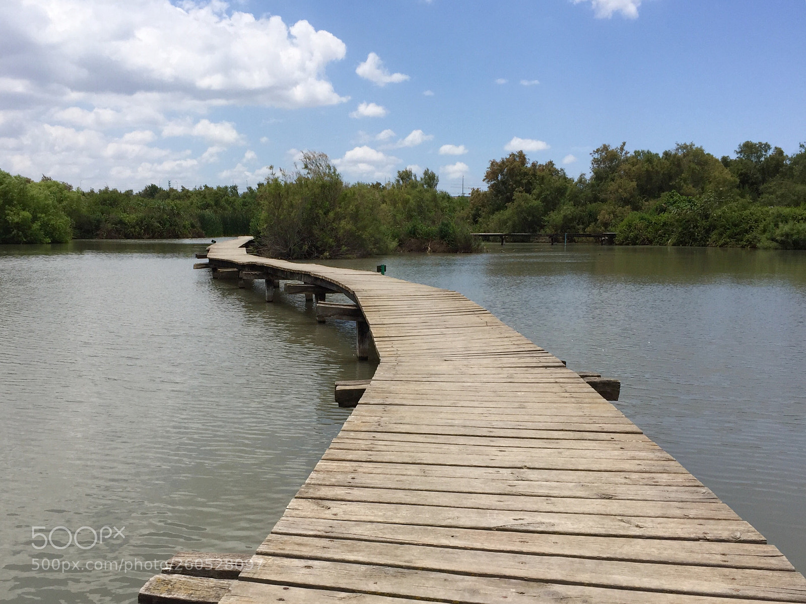 Apple iPhone 6 sample photo. The bridge  photography