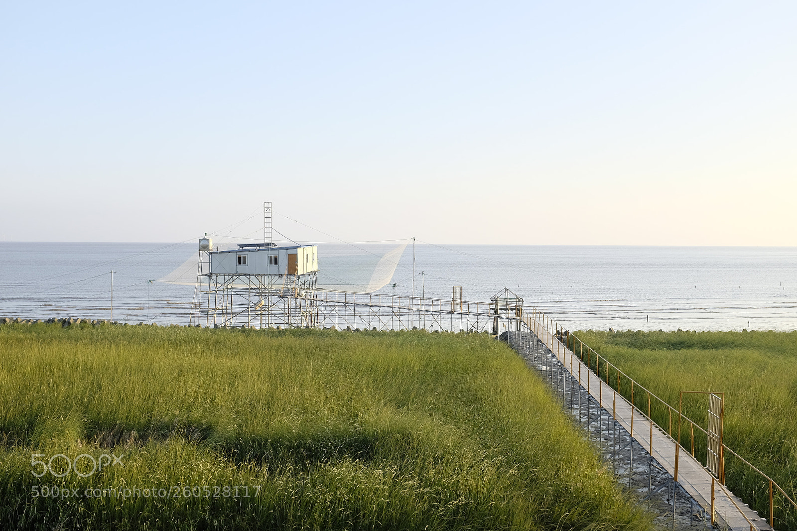 Fujifilm X100T sample photo. Dsf photography