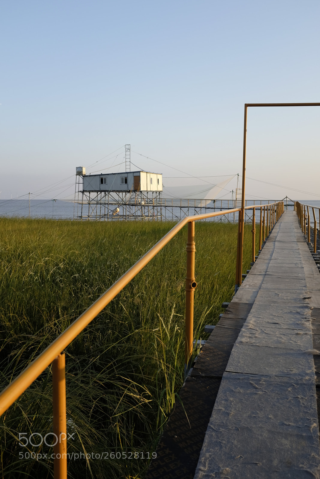 Fujifilm X100T sample photo. Dsf photography