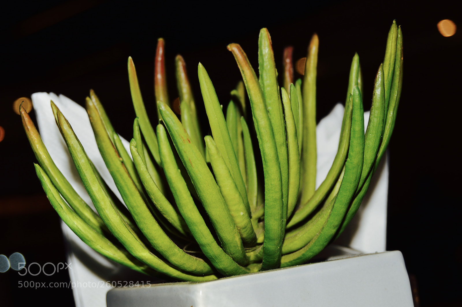 Nikon D3200 sample photo. Shutter.jpg photography