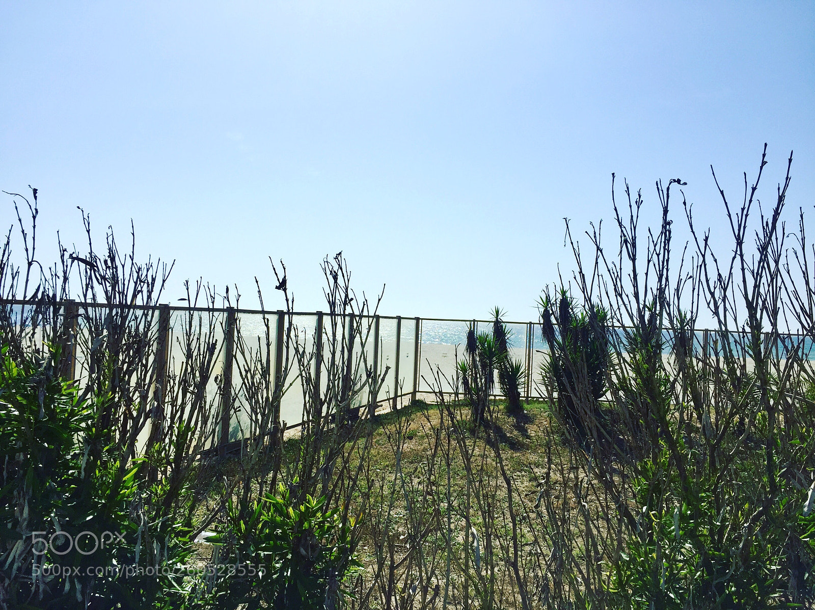 Apple iPhone 6 sample photo. Untitled photography