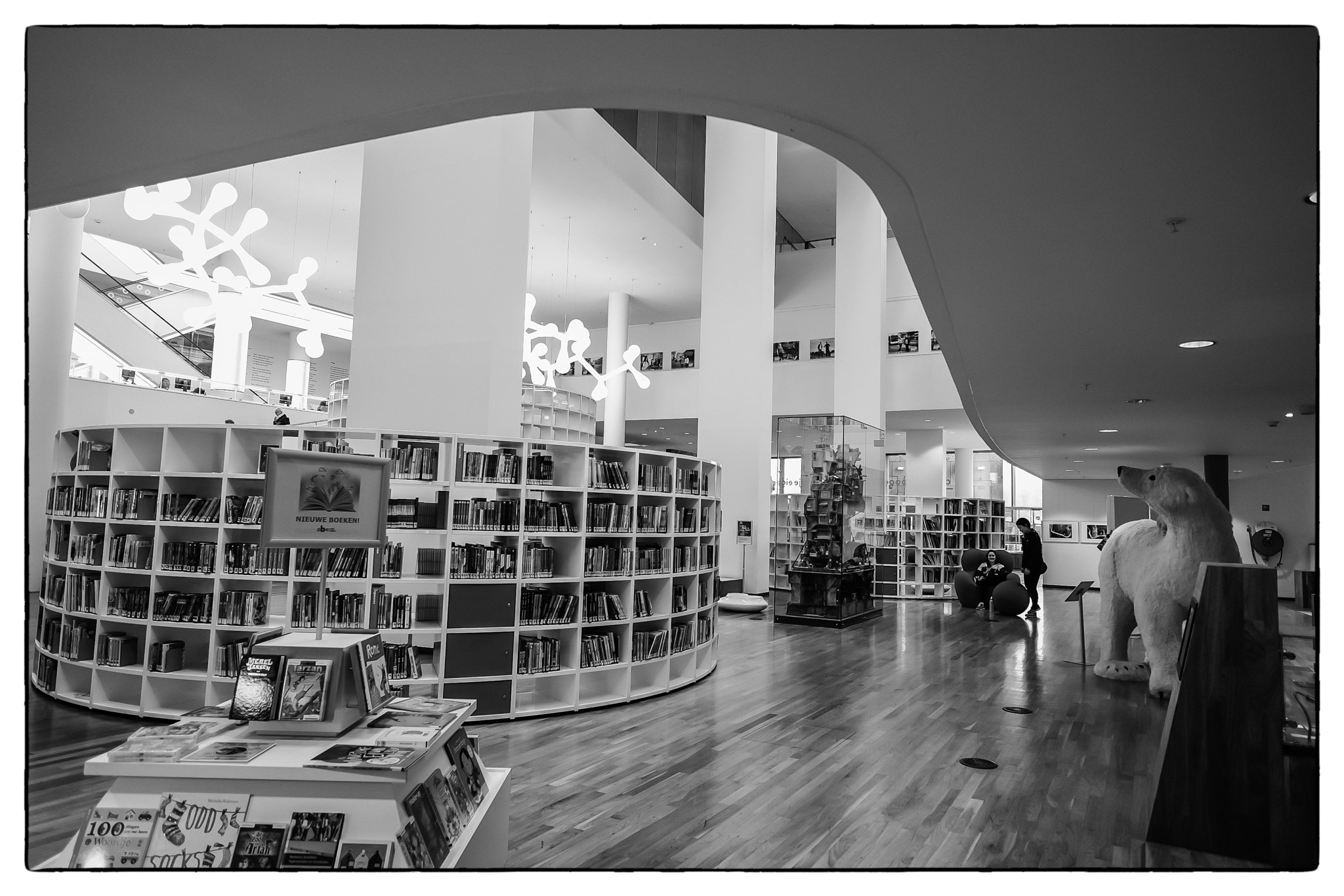 Fujifilm X-Pro1 sample photo. Biblioteca de amsterdam photography