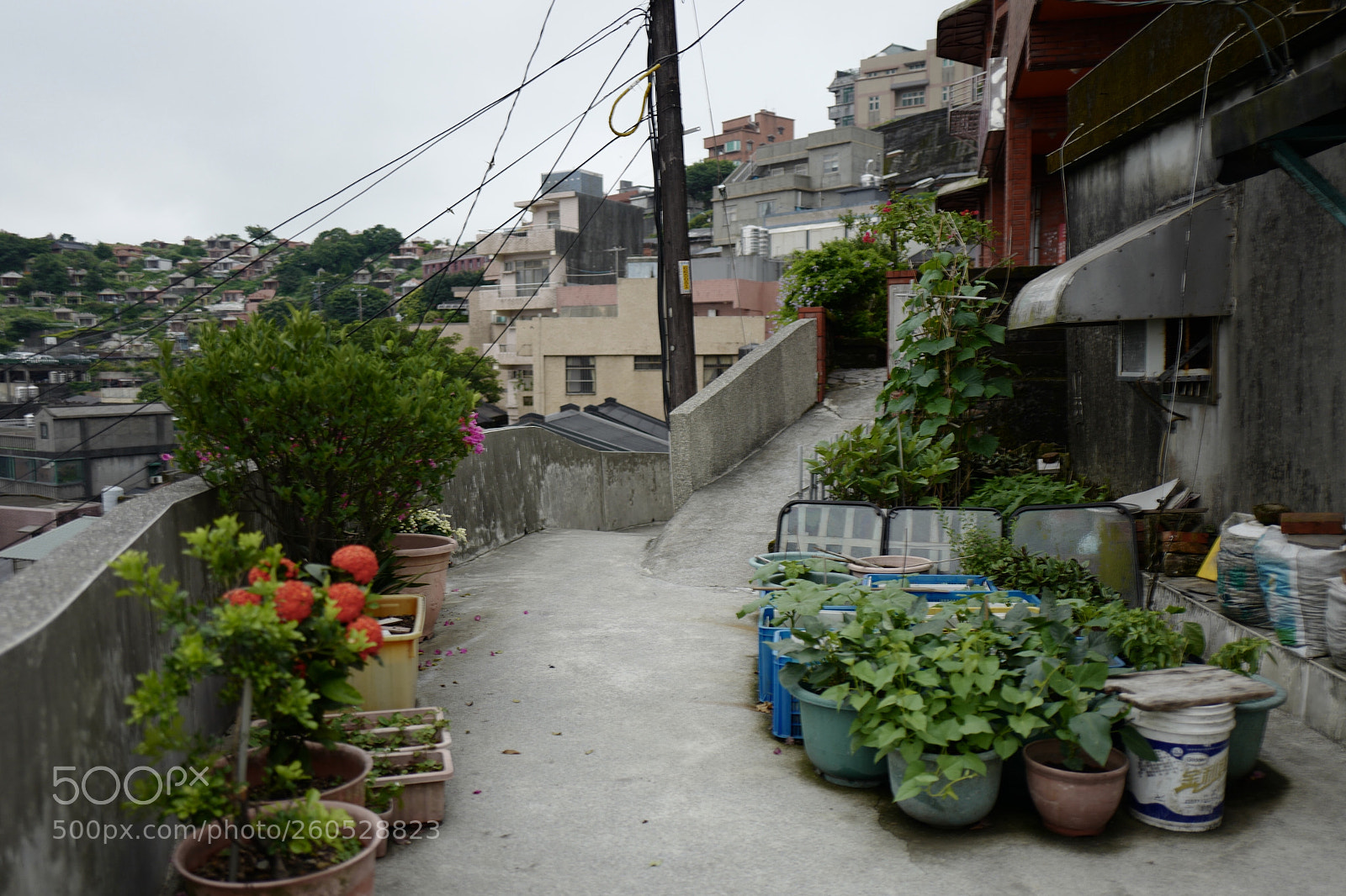 Leica Q (Typ 116) sample photo. 日常民居掃街 photography