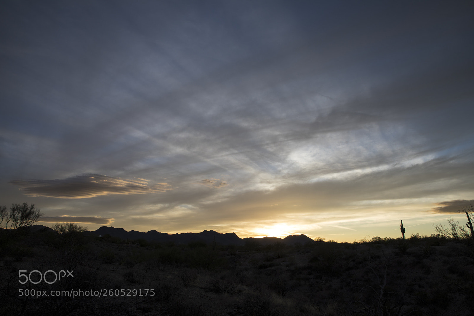Canon EOS 5D Mark IV sample photo. Aa photography
