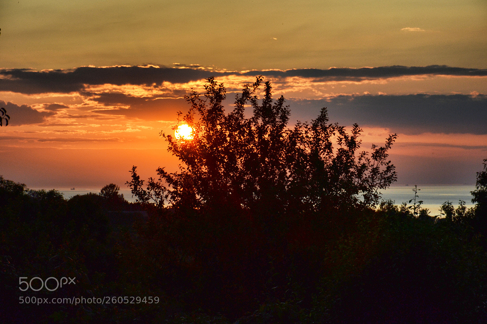 Nikon D3100 sample photo. Vacation in normandy photography