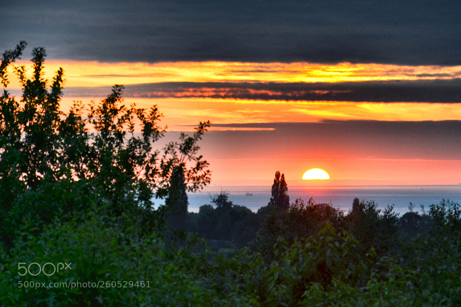 Nikon D3100 sample photo. Vacation in normandy photography