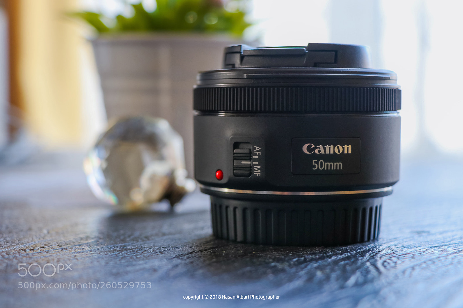 Canon EOS 80D sample photo. 50mm canon lens photography