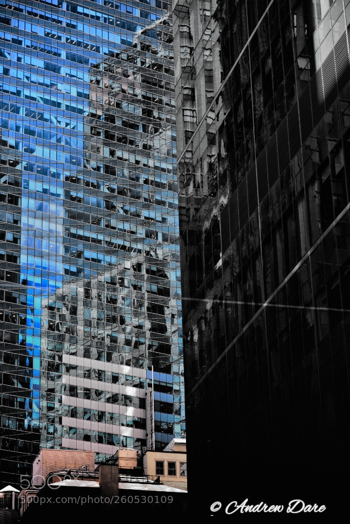 Nikon D810 sample photo. Bryant park nyc photography