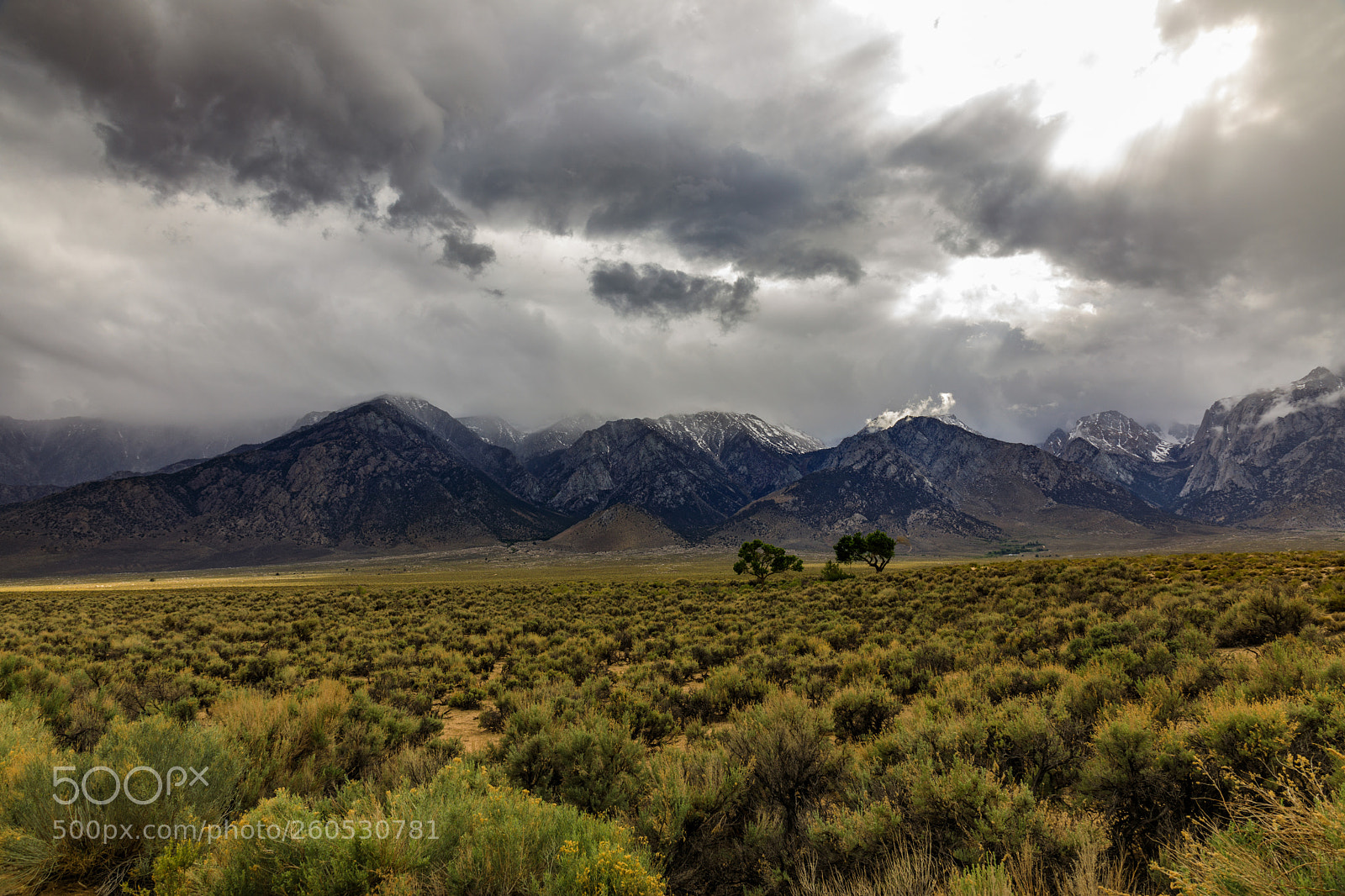 Canon EOS 5D Mark IV sample photo. The eastern sierra's 4054 photography