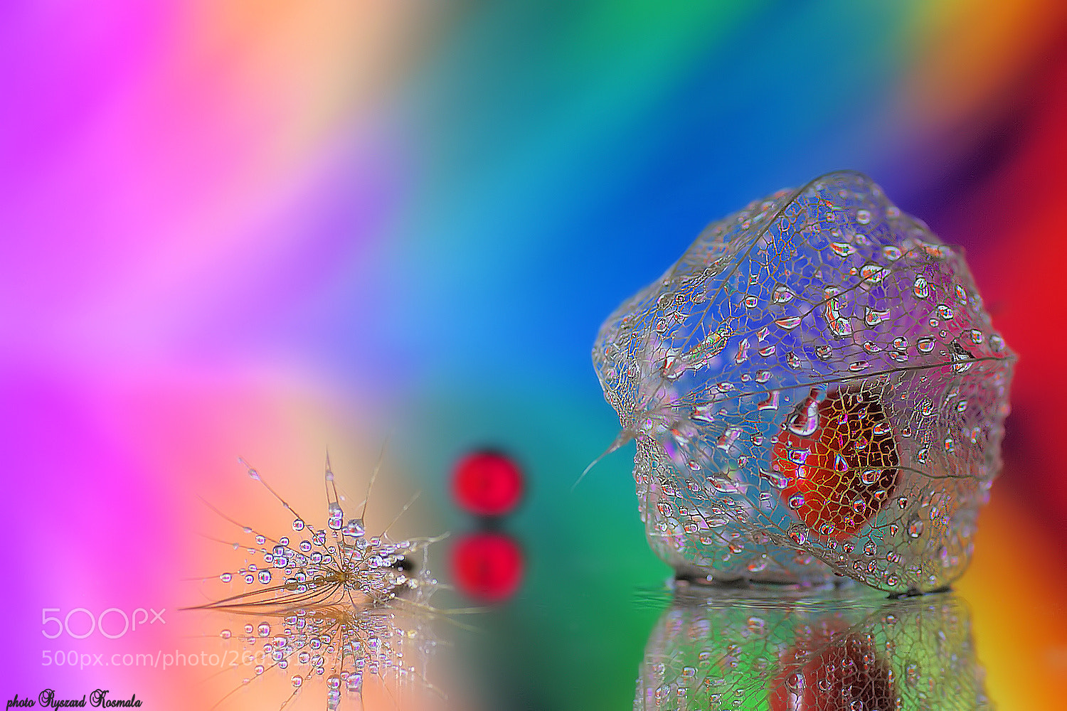 Sony Alpha DSLR-A300 sample photo. Drops and colors photography