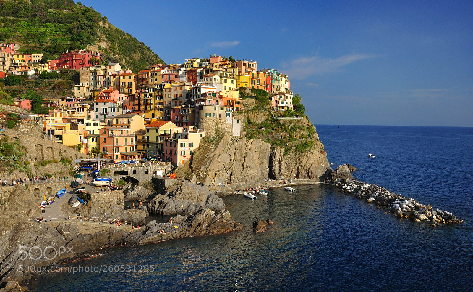 Nikon D90 sample photo. Manarola sunset photography