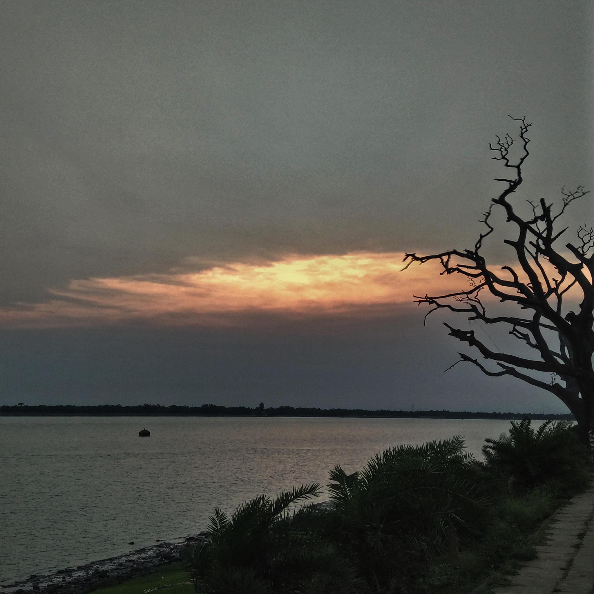 OPPO A37fw-International sample photo. Alone with none photography