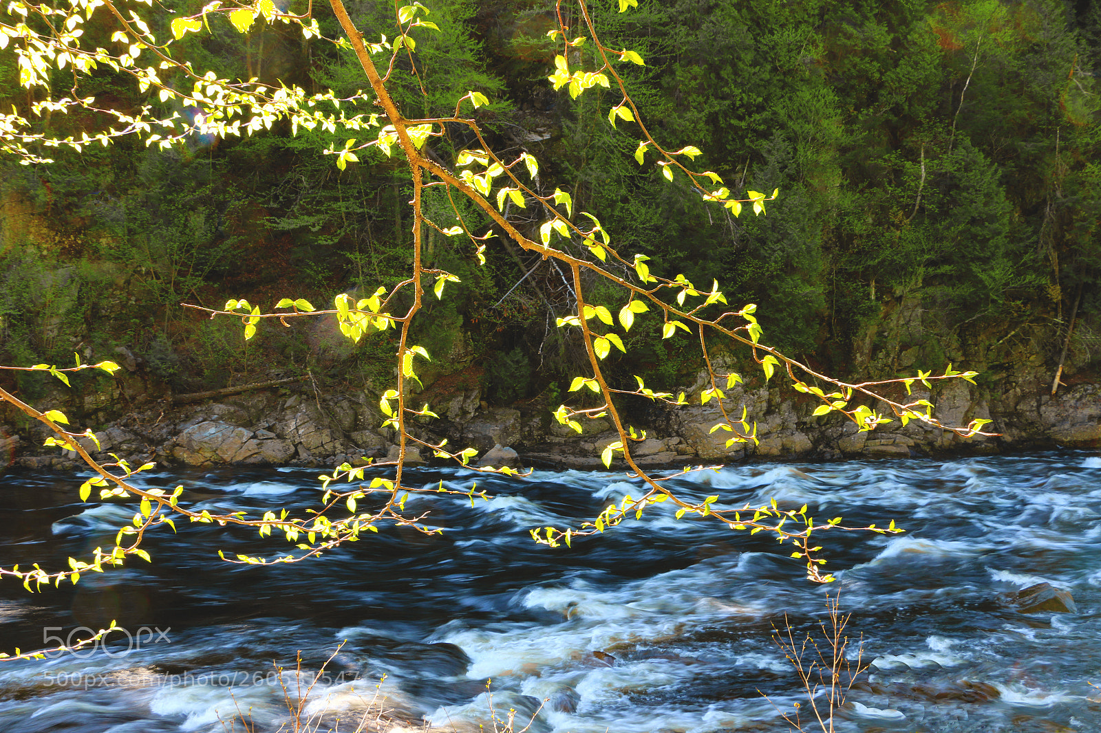 Canon EOS 70D sample photo. My happy place photography