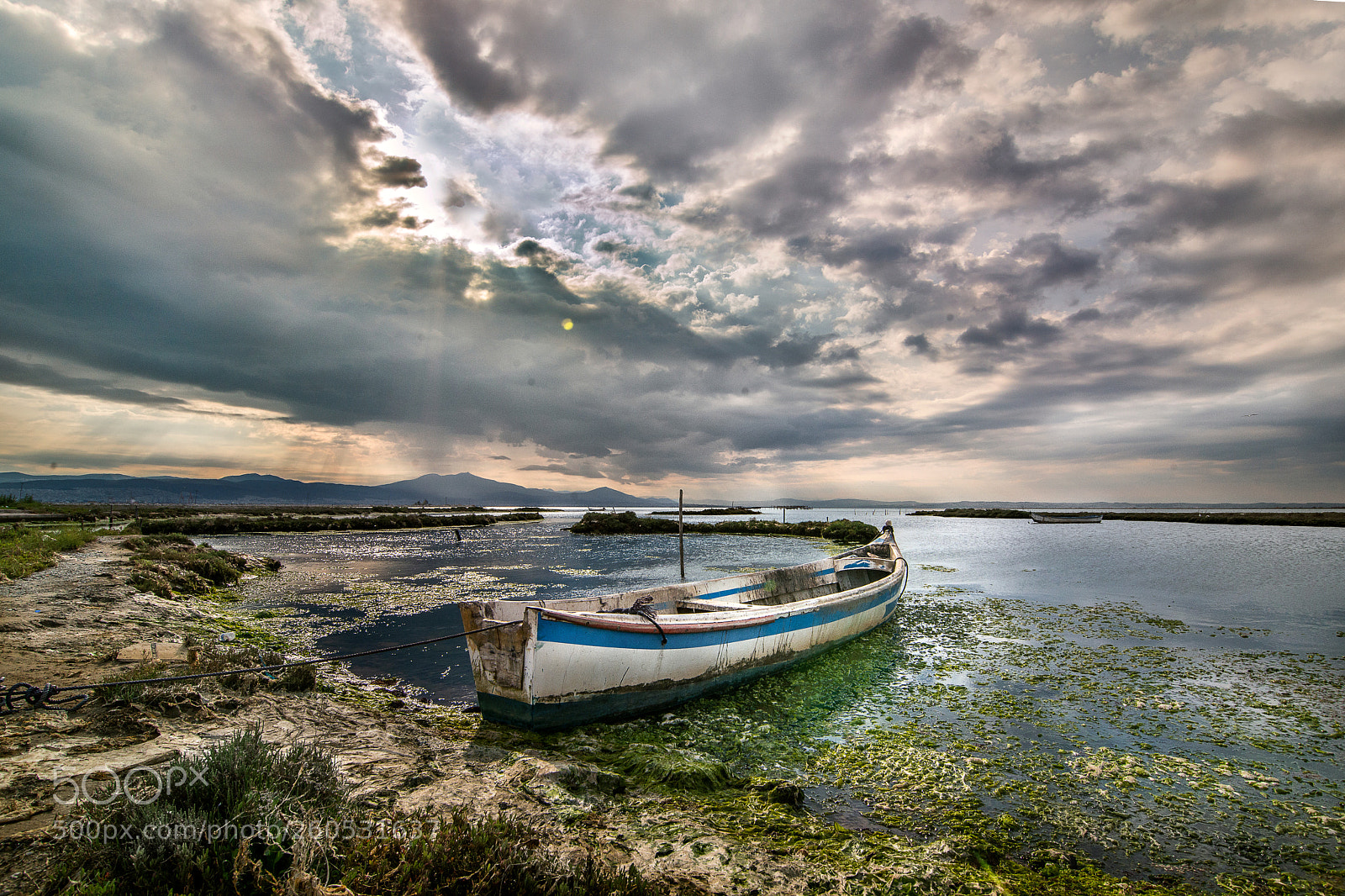 Nikon D800 sample photo. A cloudy day in photography