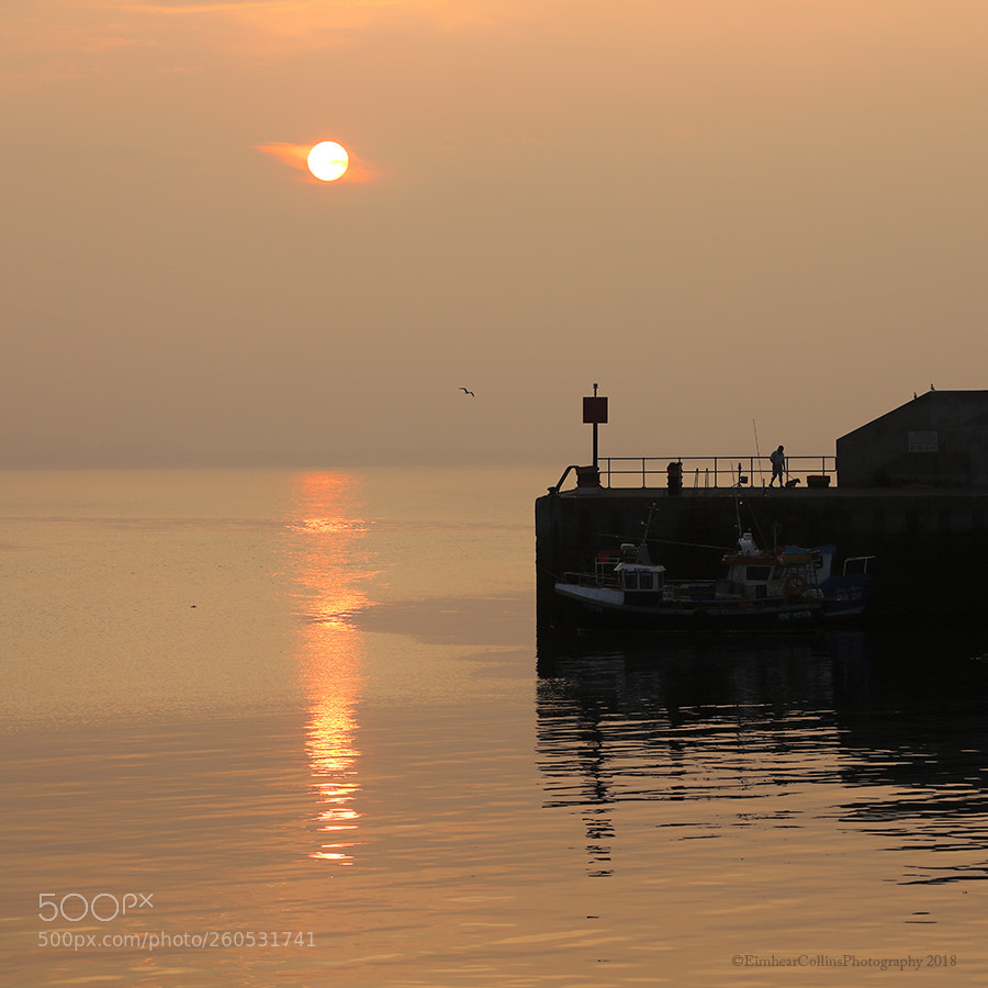 Canon EOS 5D Mark IV sample photo. Port oriel, clogherhead photography