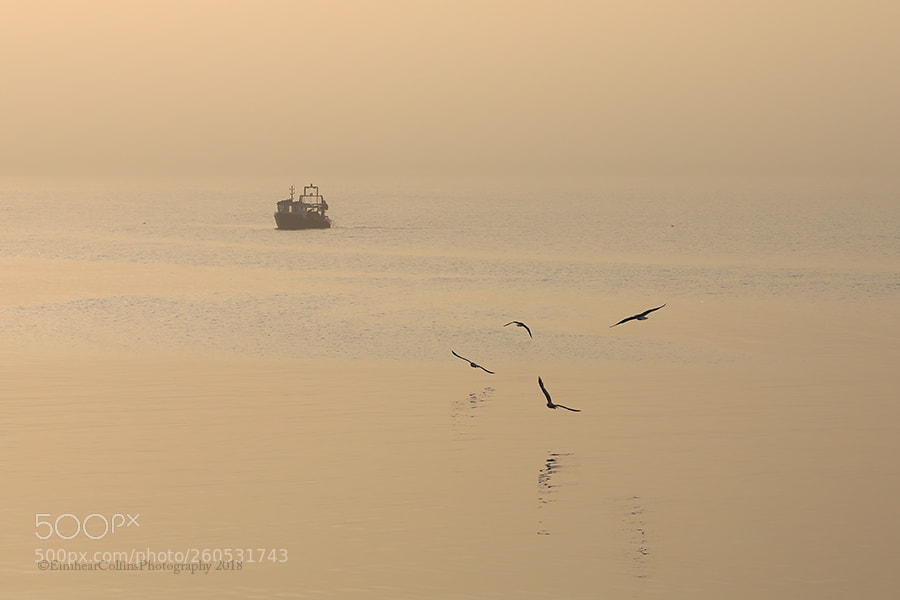 Canon EOS 5D Mark IV sample photo. Port oriel, clogherhead photography