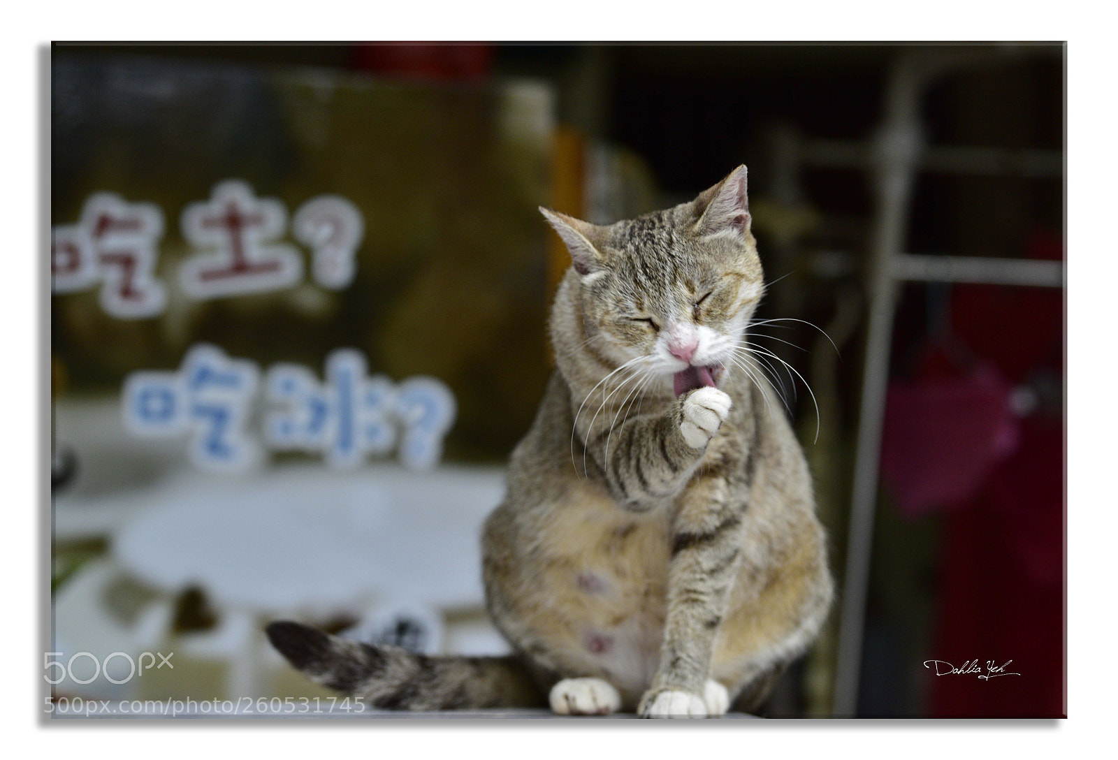 Nikon D810 sample photo. Untitled photography