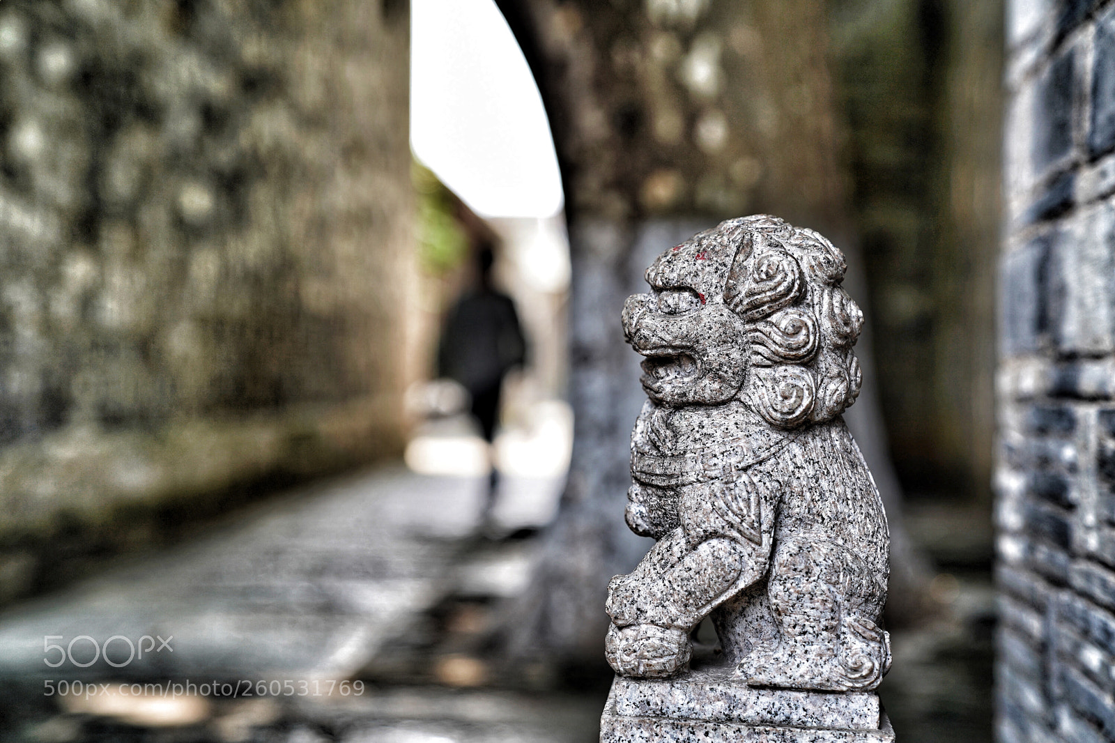 Sony a7 III sample photo. Stone lion photography