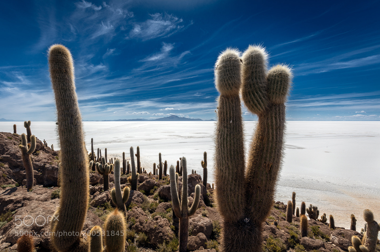 Canon EOS 5DS sample photo. Bolivia, salar de uyuni photography