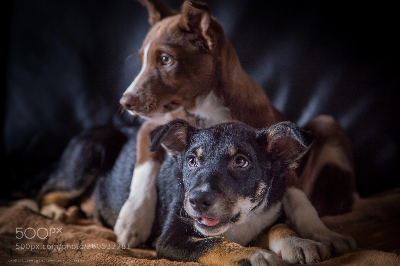 Canon EOS 6D sample photo. Rebel&gotan photography
