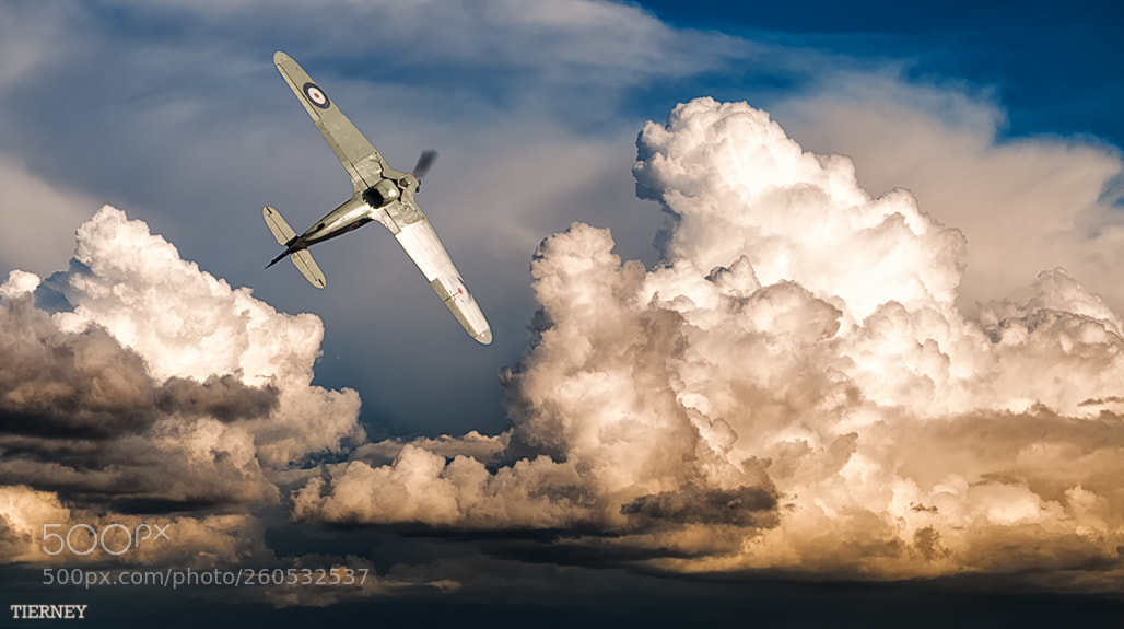 Nikon D300 sample photo. Playtime in the clouds. photography