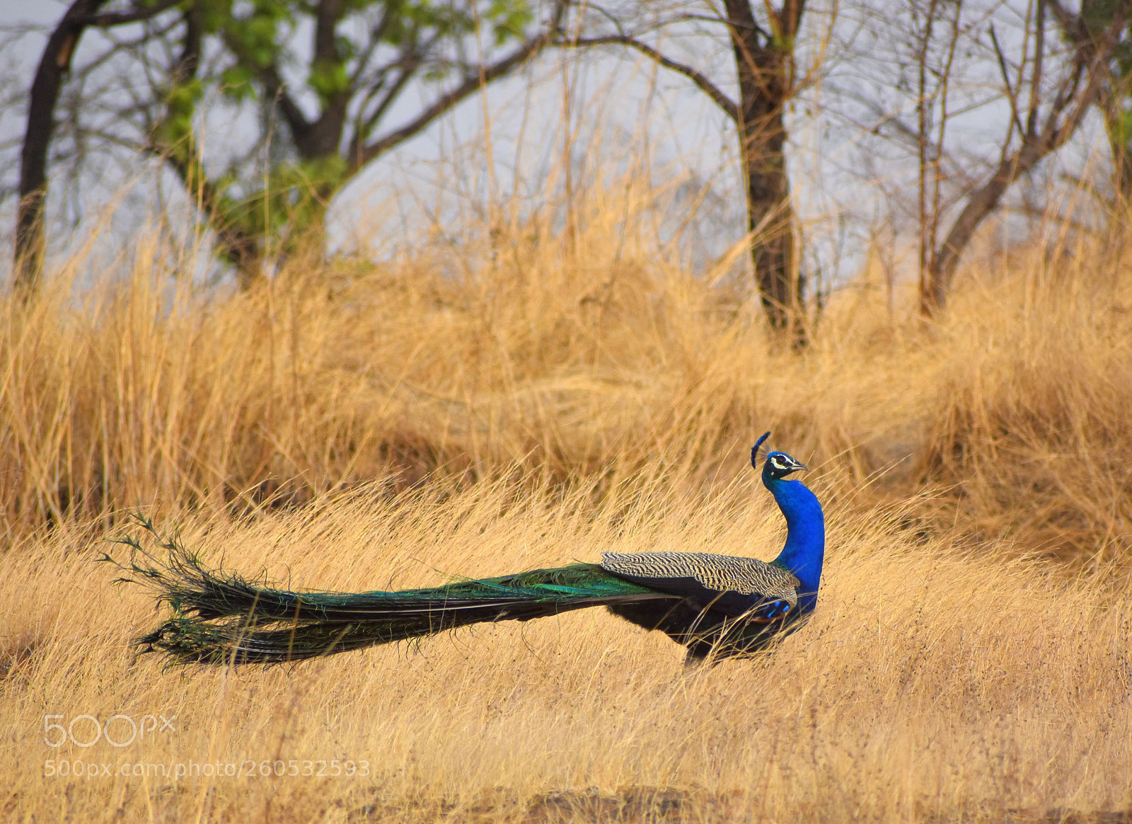 Nikon D7200 sample photo. Untitled photography