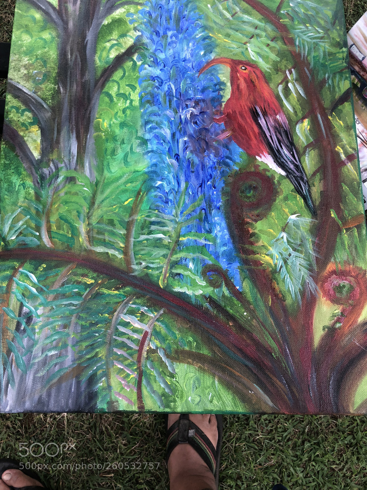 Apple iPhone X sample photo. Hawaii native bird photography