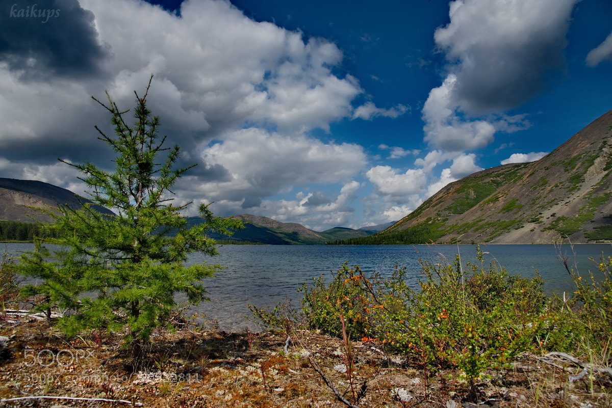 Nikon D750 sample photo. Russia. far east, magadan photography