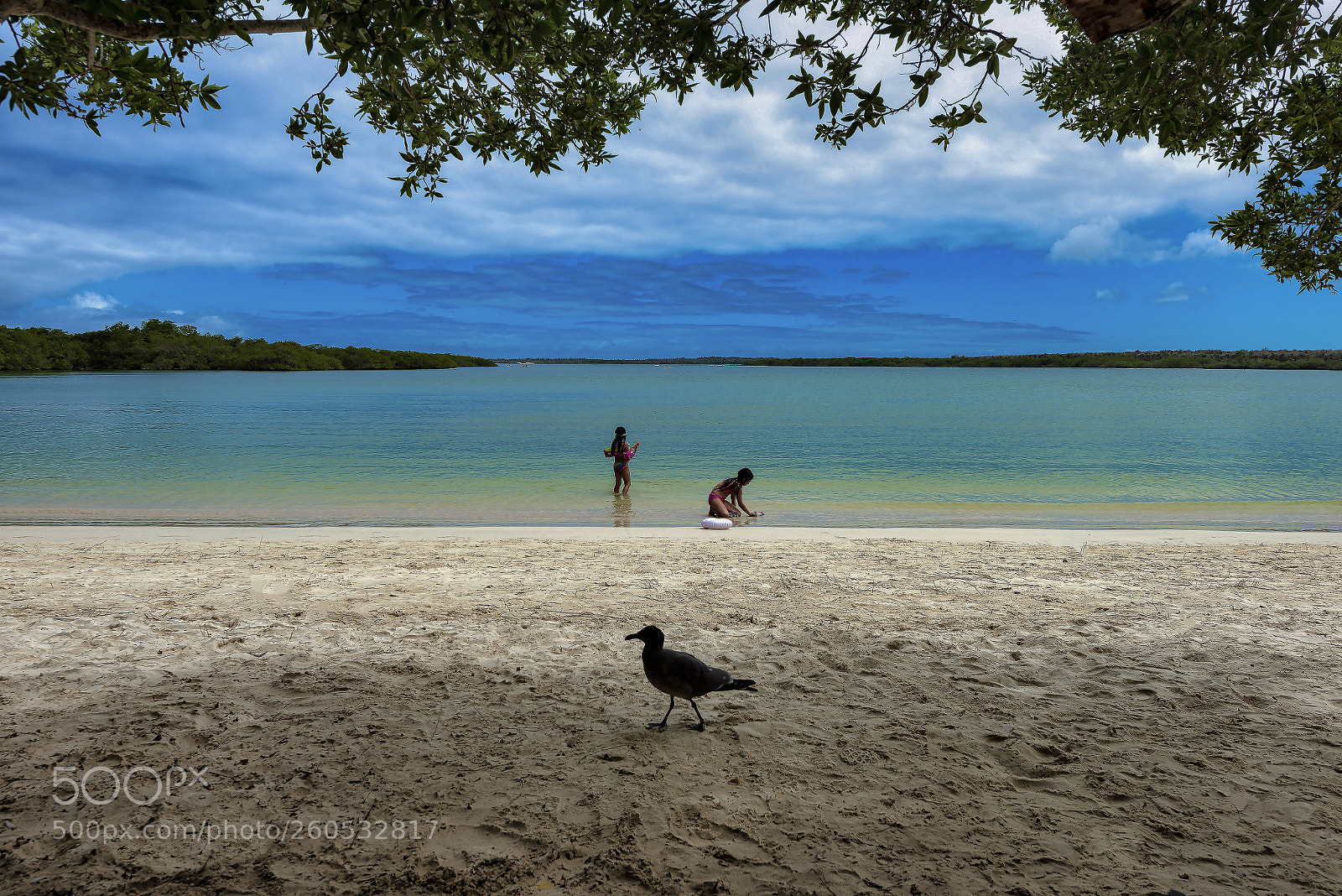 Nikon D800 sample photo. Islas galapagos.  tortuga bay photography