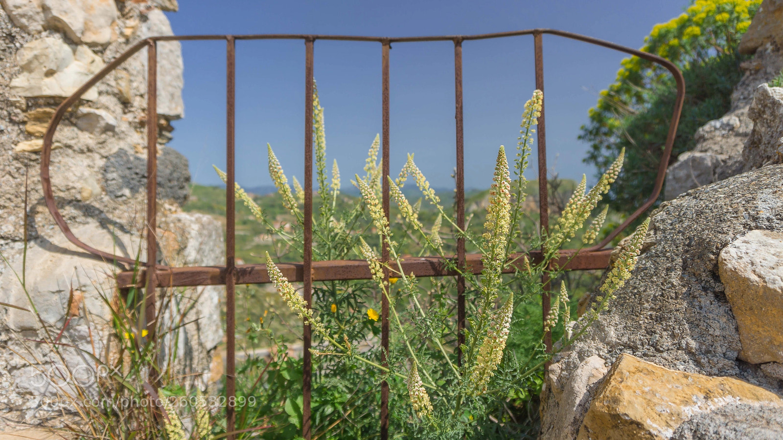 Sony a6000 sample photo. Castello photography