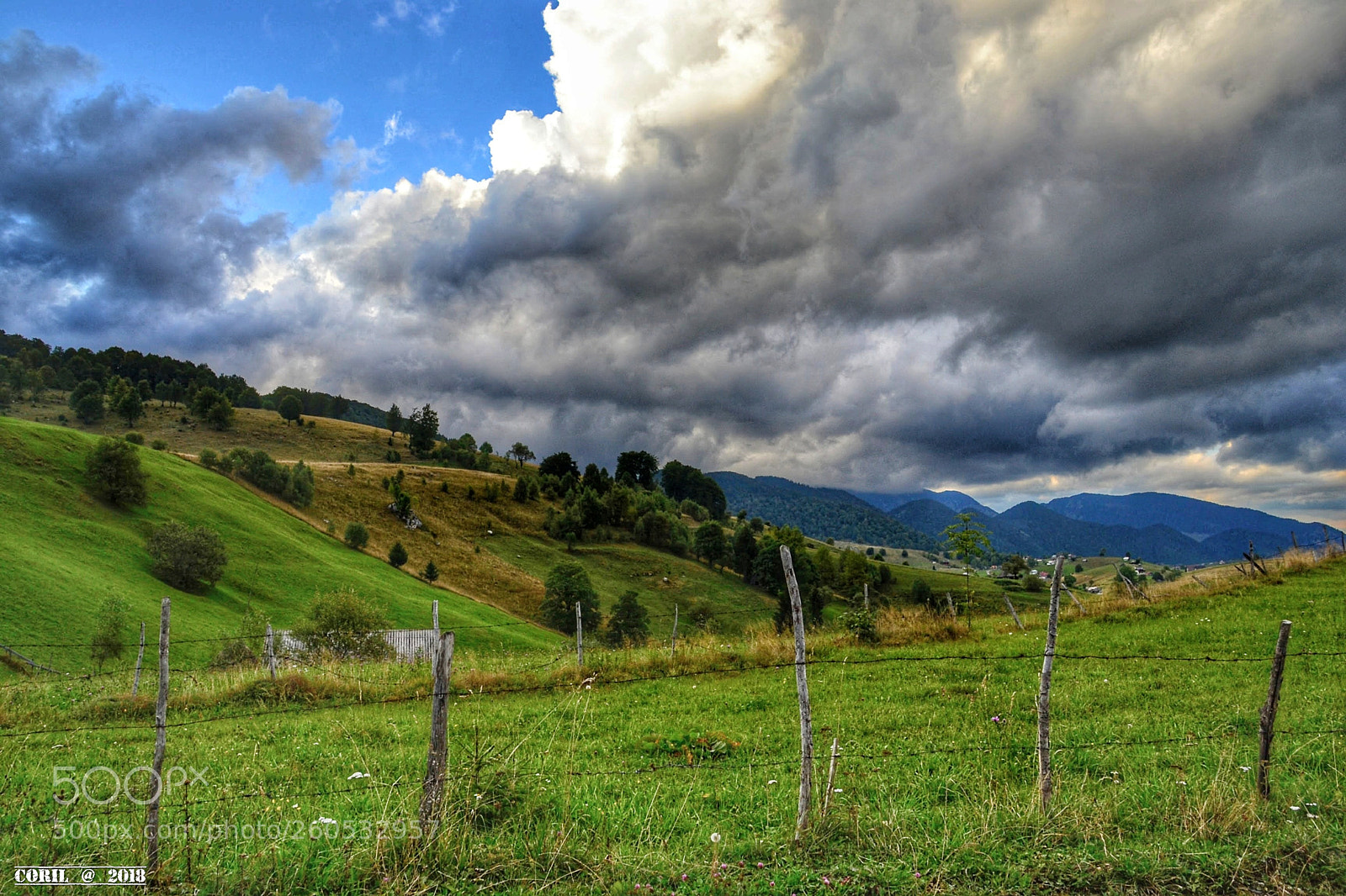 Nikon D3100 sample photo. Untitled photography