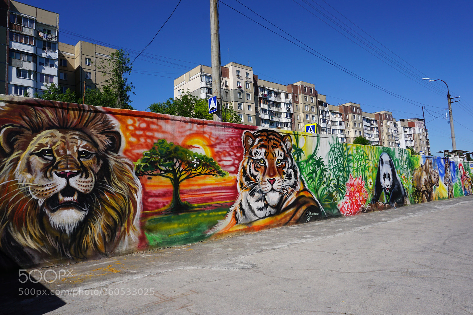 Sony a6000 sample photo. Zoo chisinau photography
