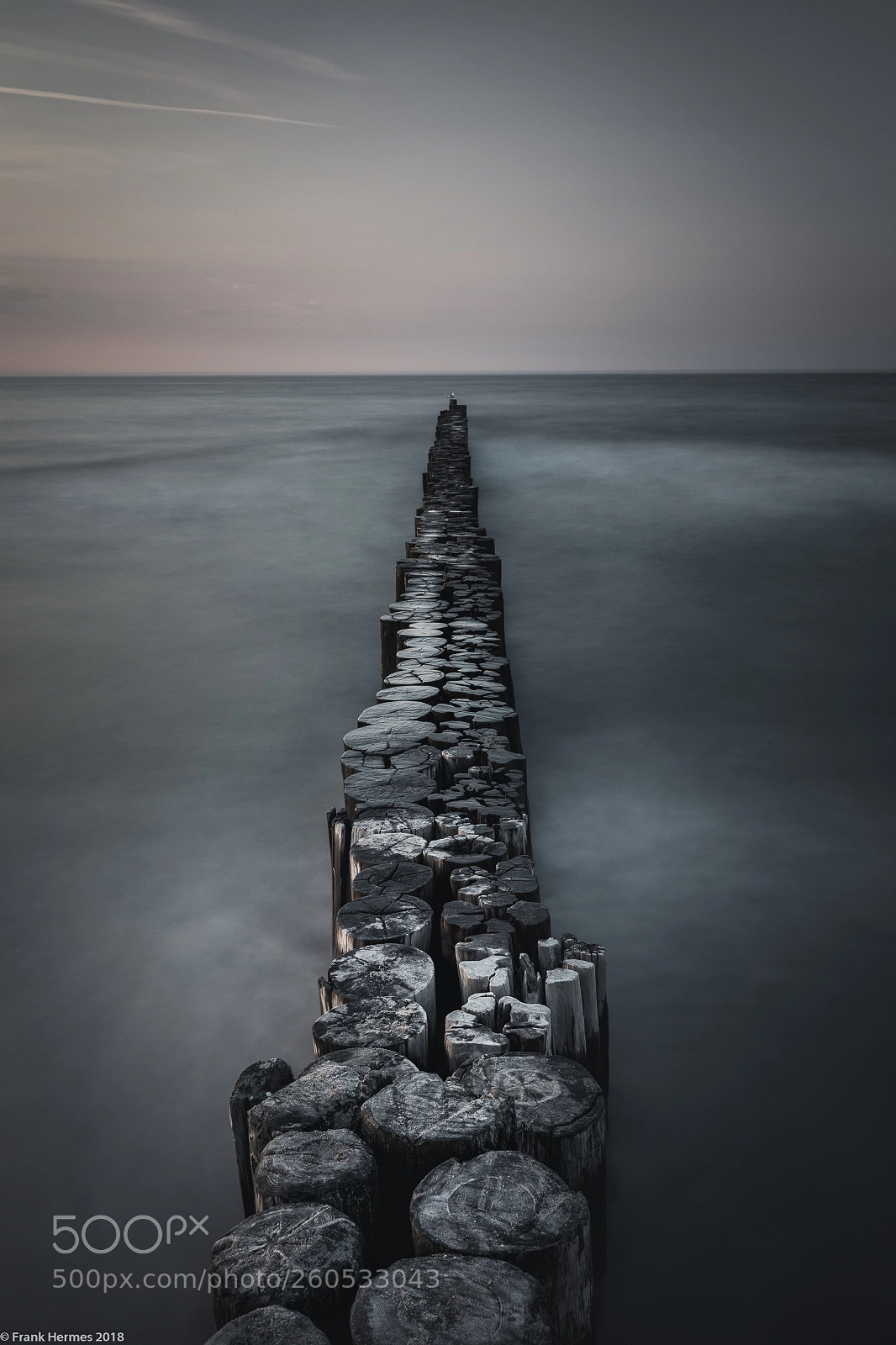 Canon EOS 5D Mark IV sample photo. Into the sea photography