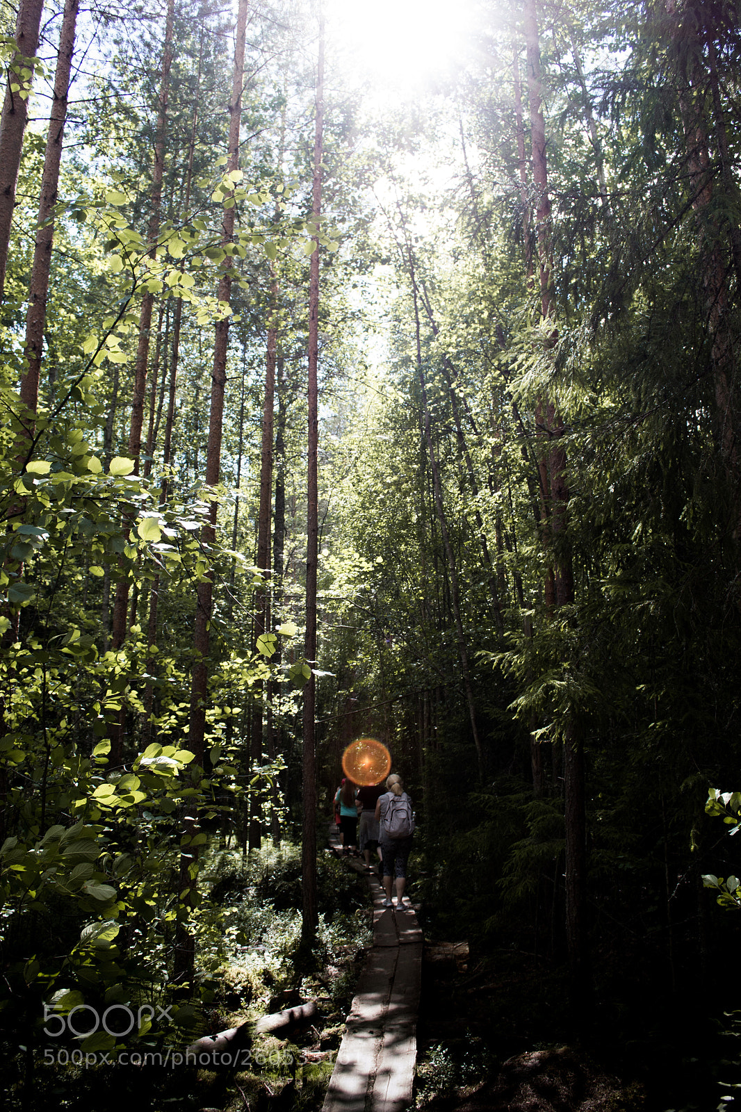 Nikon D3100 sample photo. Trail photography