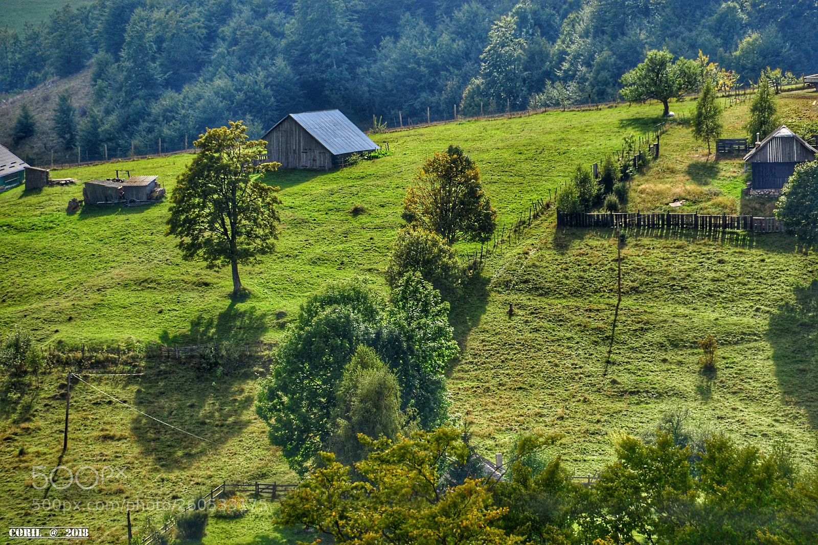 Nikon D3100 sample photo. Untitled photography
