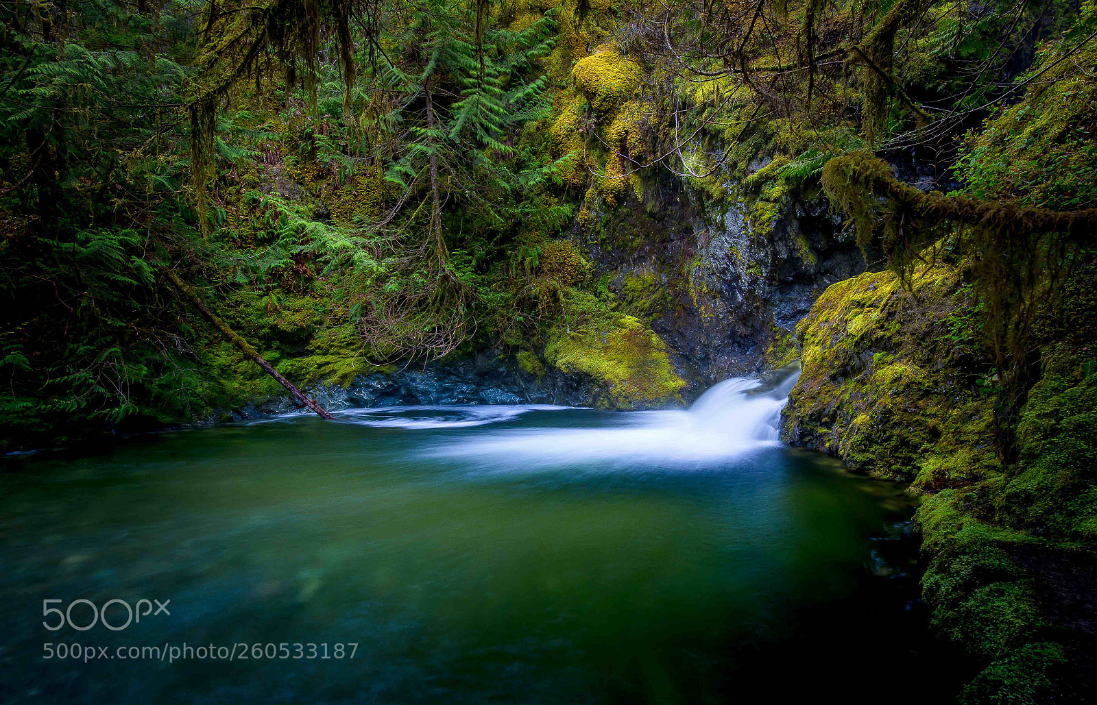Nikon D600 sample photo. Green grotto photography