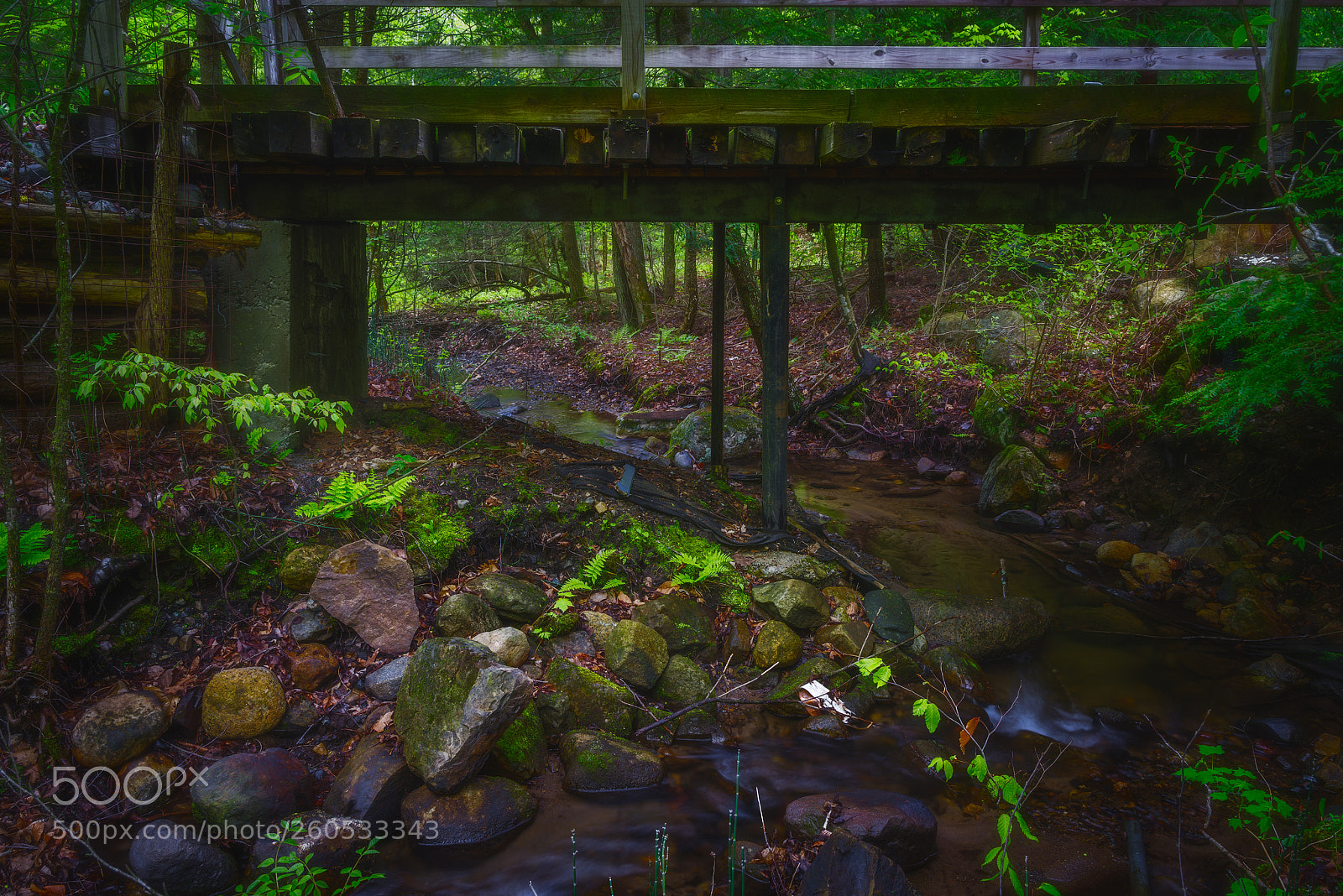 Pentax K-1 sample photo. Bridge in the woods photography